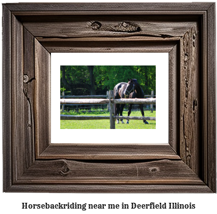 horseback riding near me in Deerfield, Illinois